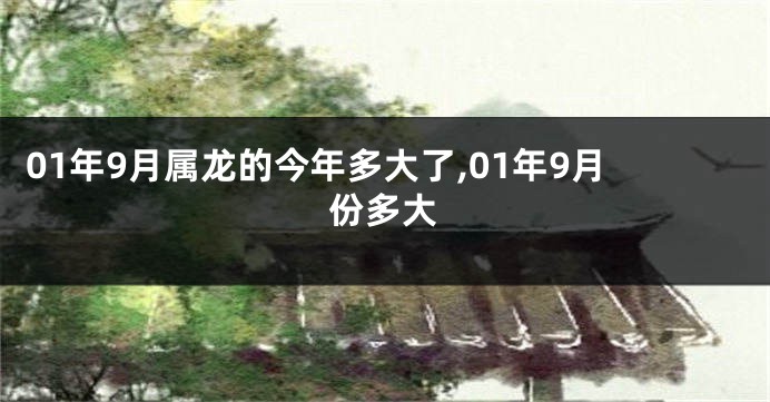 01年9月属龙的今年多大了,01年9月份多大