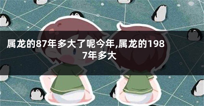 属龙的87年多大了呢今年,属龙的1987年多大
