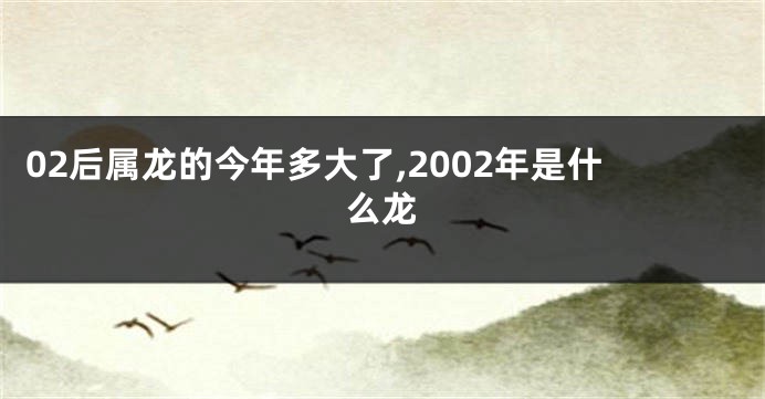 02后属龙的今年多大了,2002年是什么龙