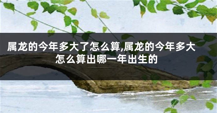 属龙的今年多大了怎么算,属龙的今年多大怎么算出哪一年出生的