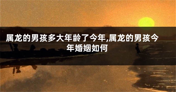属龙的男孩多大年龄了今年,属龙的男孩今年婚姻如何