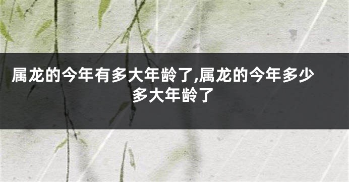 属龙的今年有多大年龄了,属龙的今年多少多大年龄了