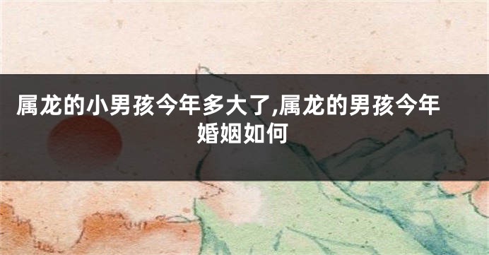 属龙的小男孩今年多大了,属龙的男孩今年婚姻如何