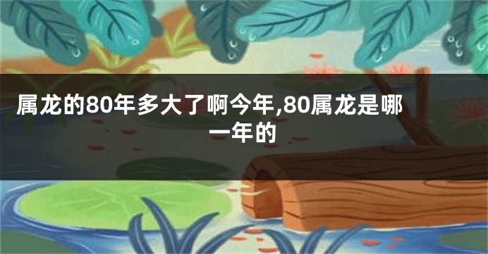 属龙的80年多大了啊今年,80属龙是哪一年的