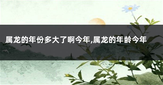 属龙的年份多大了啊今年,属龙的年龄今年