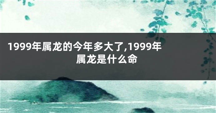 1999年属龙的今年多大了,1999年属龙是什么命