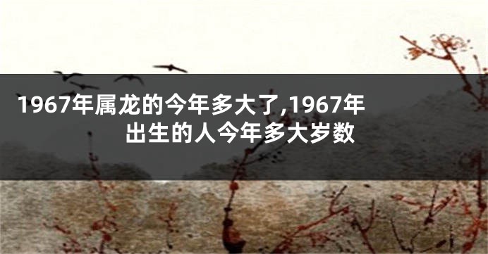 1967年属龙的今年多大了,1967年出生的人今年多大岁数