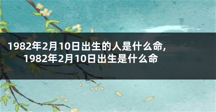 1982年2月10日出生的人是什么命,1982年2月10日出生是什么命