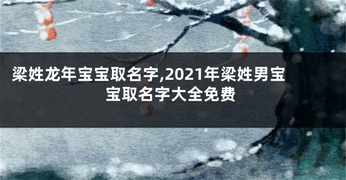 梁姓龙年宝宝取名字,2021年梁姓男宝宝取名字大全免费