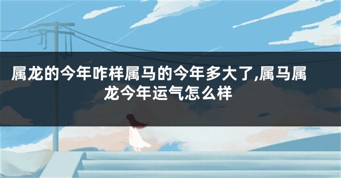 属龙的今年咋样属马的今年多大了,属马属龙今年运气怎么样