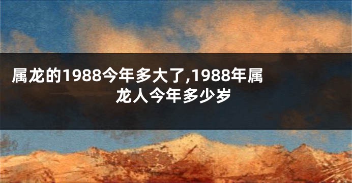 属龙的1988今年多大了,1988年属龙人今年多少岁