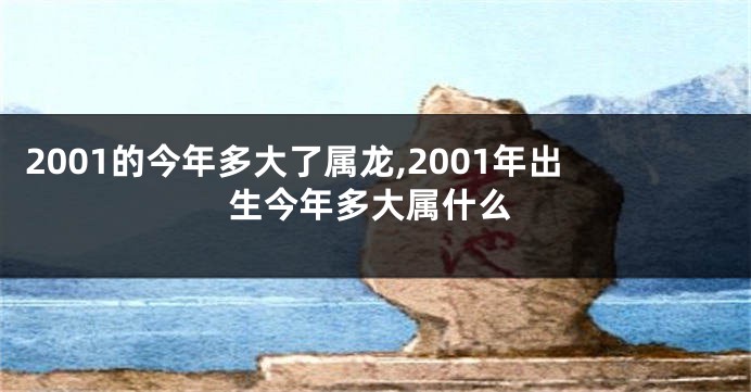 2001的今年多大了属龙,2001年出生今年多大属什么