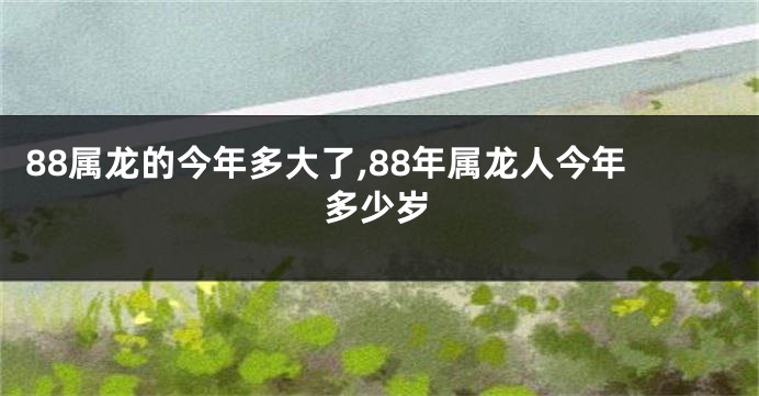 88属龙的今年多大了,88年属龙人今年多少岁