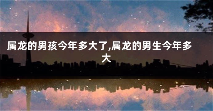 属龙的男孩今年多大了,属龙的男生今年多大