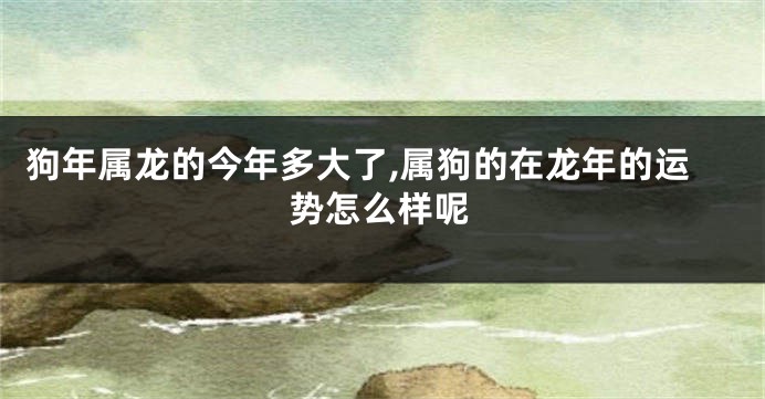 狗年属龙的今年多大了,属狗的在龙年的运势怎么样呢
