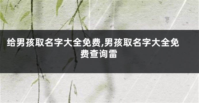 给男孩取名字大全免费,男孩取名字大全免费查询雷