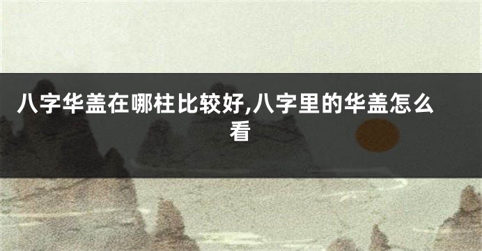 八字华盖在哪柱比较好,八字里的华盖怎么看