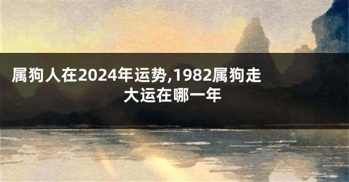 属狗人在2024年运势,1982属狗走大运在哪一年