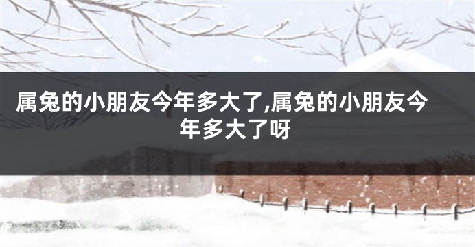 属兔的小朋友今年多大了,属兔的小朋友今年多大了呀