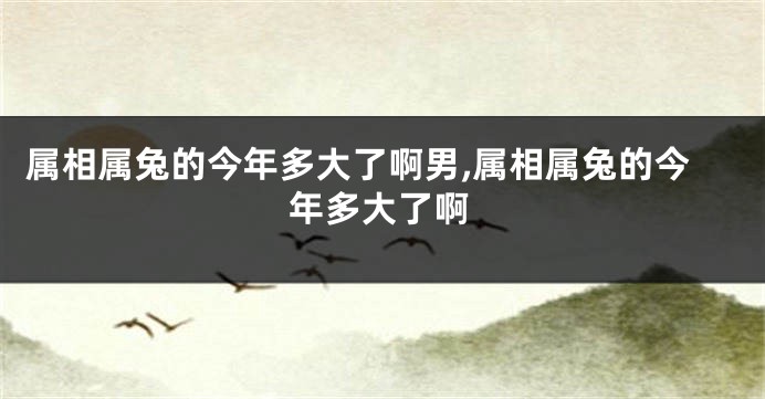属相属兔的今年多大了啊男,属相属兔的今年多大了啊