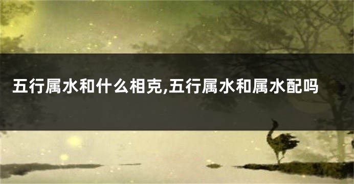 五行属水和什么相克,五行属水和属水配吗