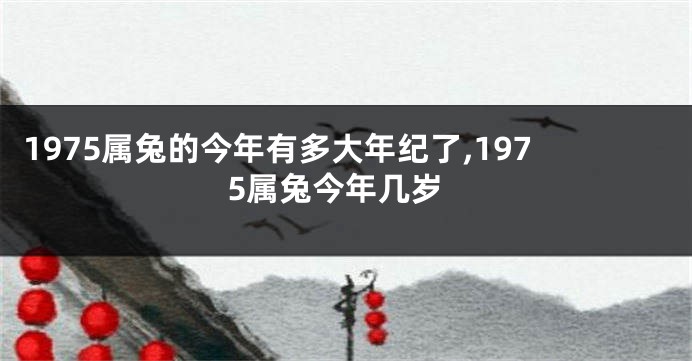 1975属兔的今年有多大年纪了,1975属兔今年几岁