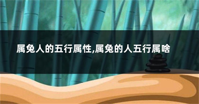 属兔人的五行属性,属兔的人五行属啥