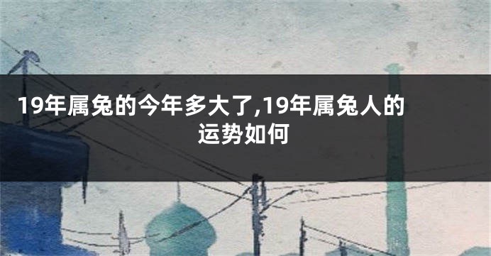 19年属兔的今年多大了,19年属兔人的运势如何