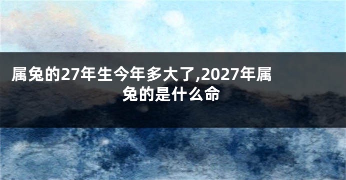 属兔的27年生今年多大了,2027年属兔的是什么命