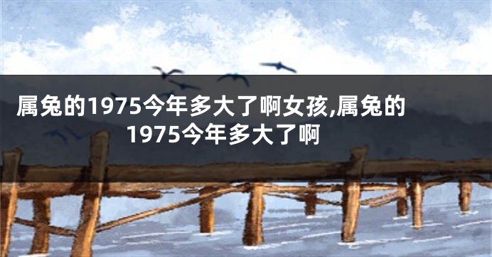 属兔的1975今年多大了啊女孩,属兔的1975今年多大了啊