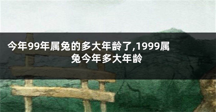 今年99年属兔的多大年龄了,1999属兔今年多大年龄