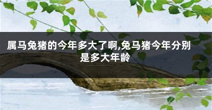 属马兔猪的今年多大了啊,兔马猪今年分别是多大年龄