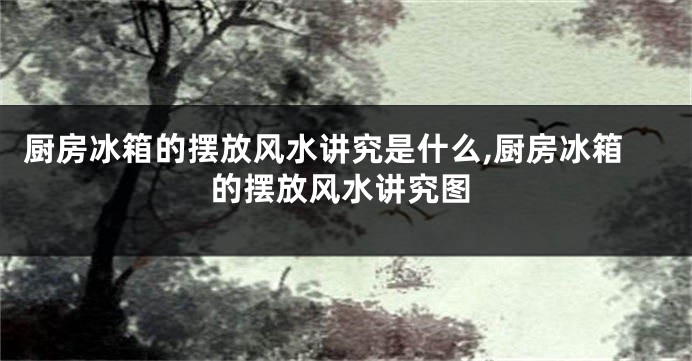 厨房冰箱的摆放风水讲究是什么,厨房冰箱的摆放风水讲究图