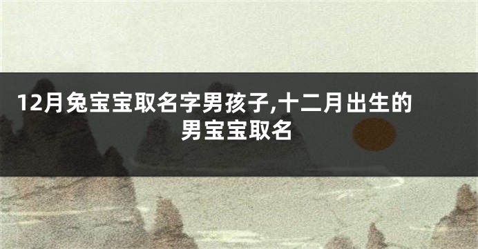 12月兔宝宝取名字男孩子,十二月出生的男宝宝取名