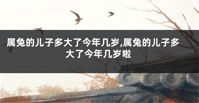 属兔的儿子多大了今年几岁,属兔的儿子多大了今年几岁啦
