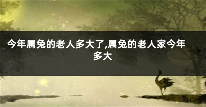 今年属兔的老人多大了,属兔的老人家今年多大