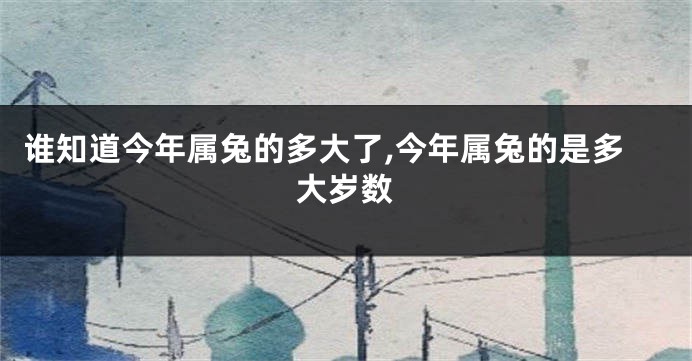 谁知道今年属兔的多大了,今年属兔的是多大岁数