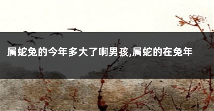 属蛇兔的今年多大了啊男孩,属蛇的在兔年