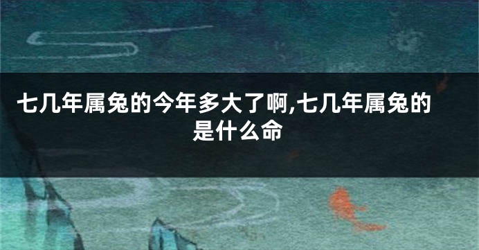 七几年属兔的今年多大了啊,七几年属兔的是什么命