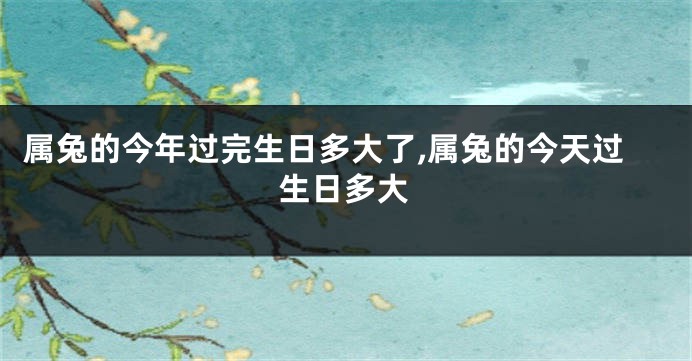 属兔的今年过完生日多大了,属兔的今天过生日多大