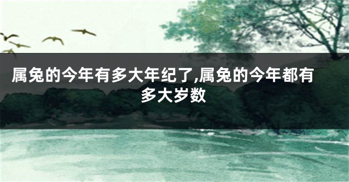 属兔的今年有多大年纪了,属兔的今年都有多大岁数