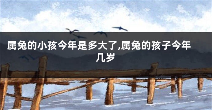 属兔的小孩今年是多大了,属兔的孩子今年几岁
