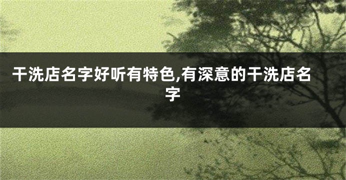 干洗店名字好听有特色,有深意的干洗店名字