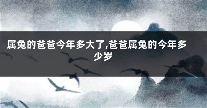 属兔的爸爸今年多大了,爸爸属兔的今年多少岁
