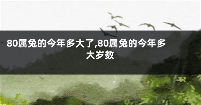 80属兔的今年多大了,80属兔的今年多大岁数