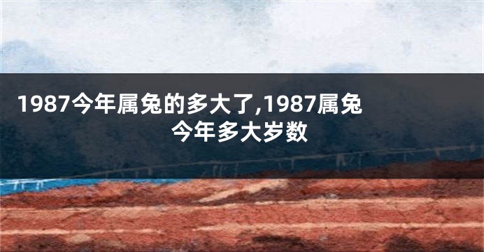 1987今年属兔的多大了,1987属兔今年多大岁数