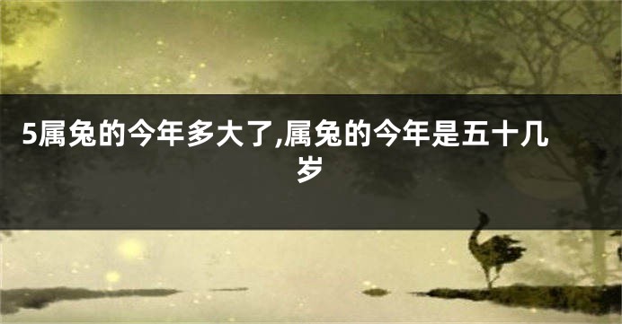 5属兔的今年多大了,属兔的今年是五十几岁