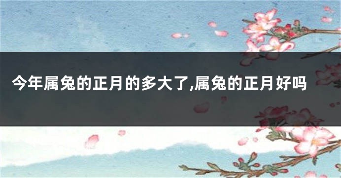 今年属兔的正月的多大了,属兔的正月好吗