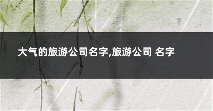 大气的旅游公司名字,旅游公司 名字