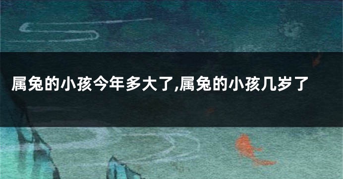 属兔的小孩今年多大了,属兔的小孩几岁了